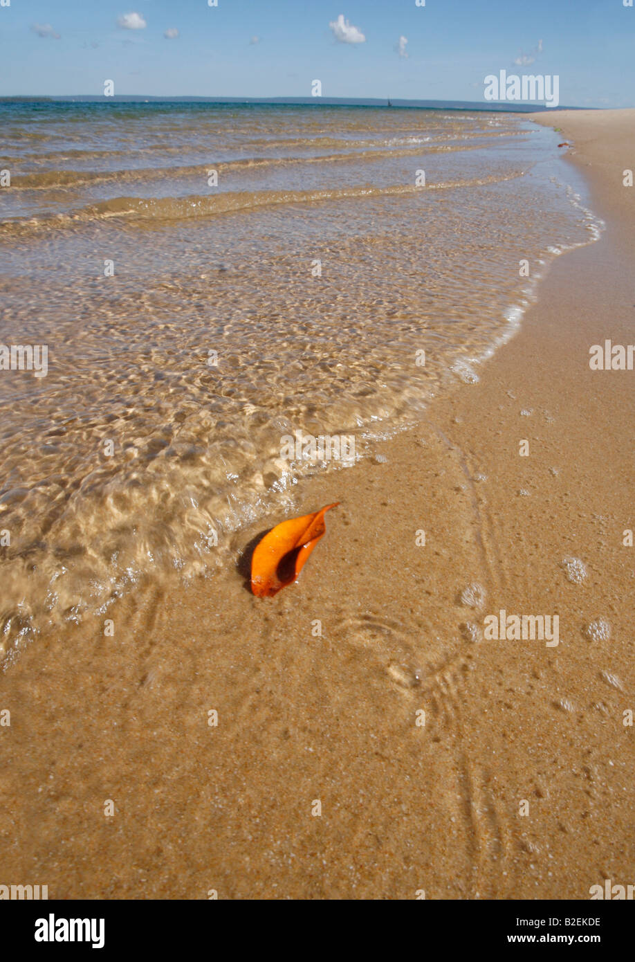 Eine kleine Welle Läppen bis an den Strand an der Küste von Mosambik Stockfoto