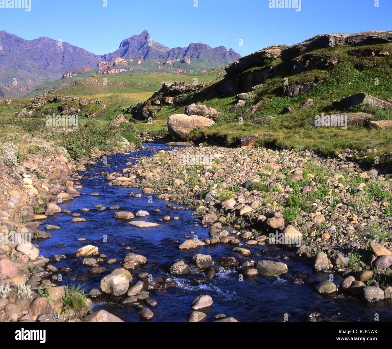 Mlabonja River im Bereich Cathedral Peak der Drakensberge Stockfoto