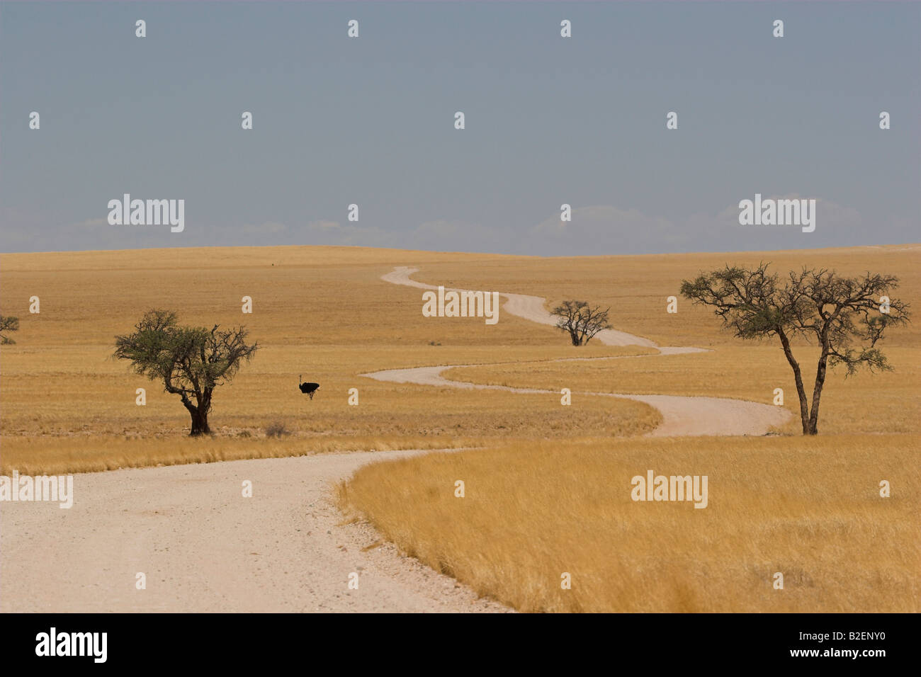 Wüstenlandschaft mit Staub Serpentinenstraße Stockfoto