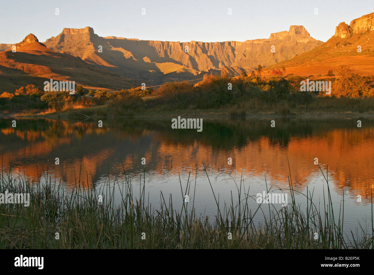Royal Natal Drakensberge das Amphitheater reflektiert in einem Forellen-Damm Stockfoto