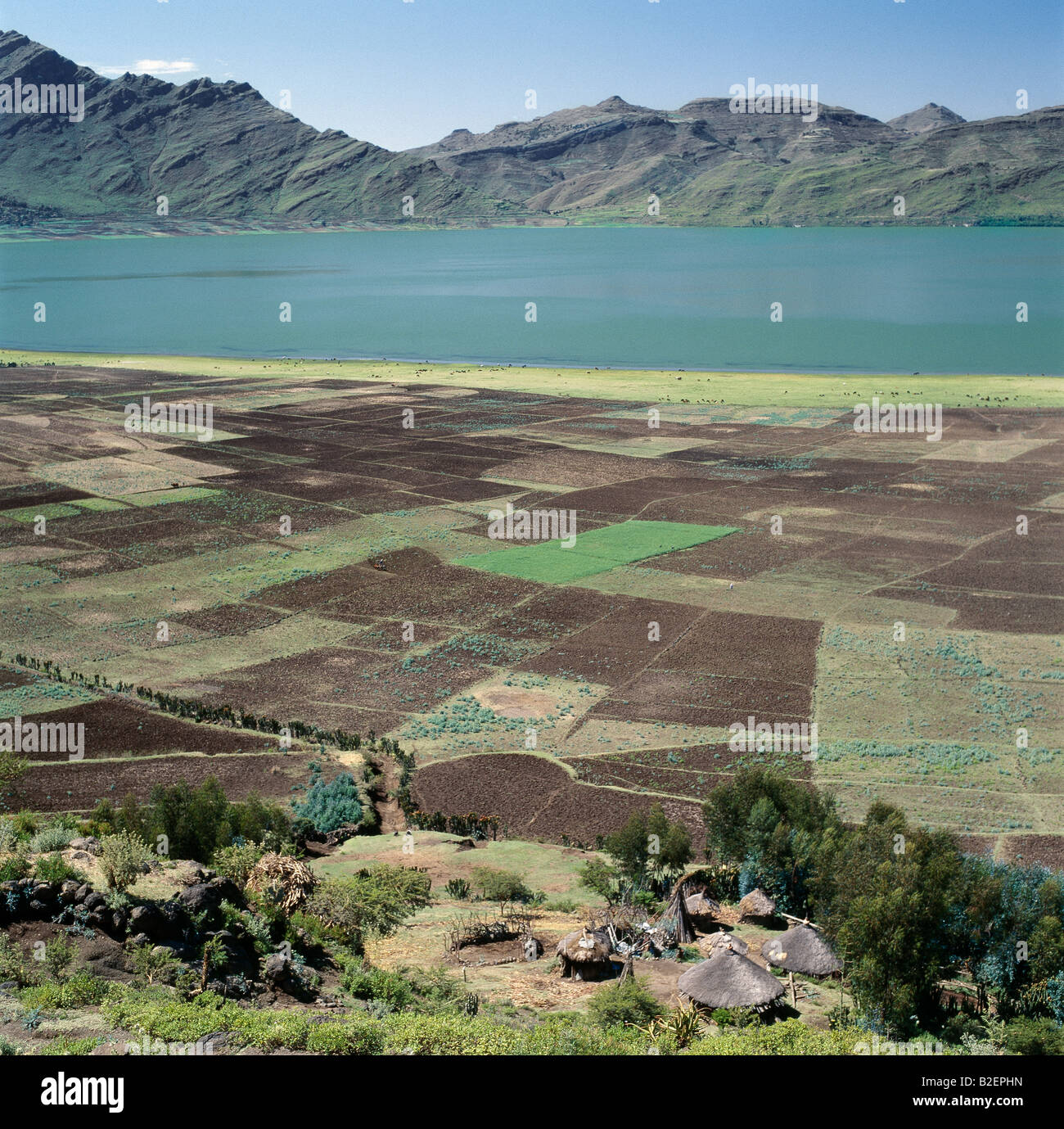 Fruchtbare Landwirtschaft Land umgibt See Ashange im nördlichen Ethiopia.Ethiopia ist ein Land der weiten Horizonte und die dramatische Landschaft. Stockfoto