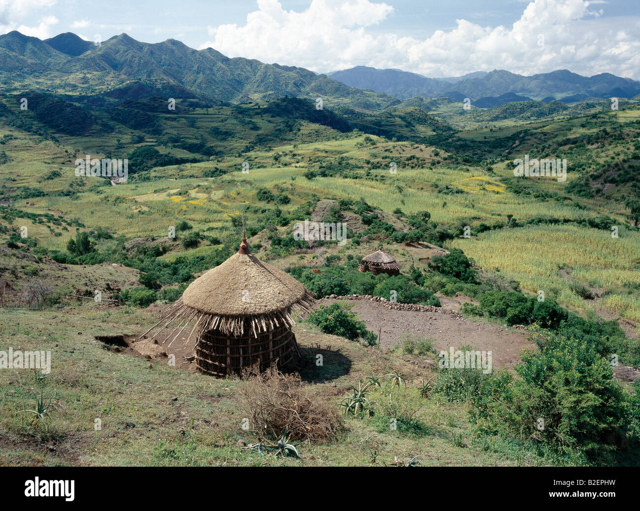 Landschaft zwischen Desse und Bati in der WELI Provinz Nord-Äthiopien mit einem unvollendeten strohgedeckten Haus im Vordergrund. Stockfoto