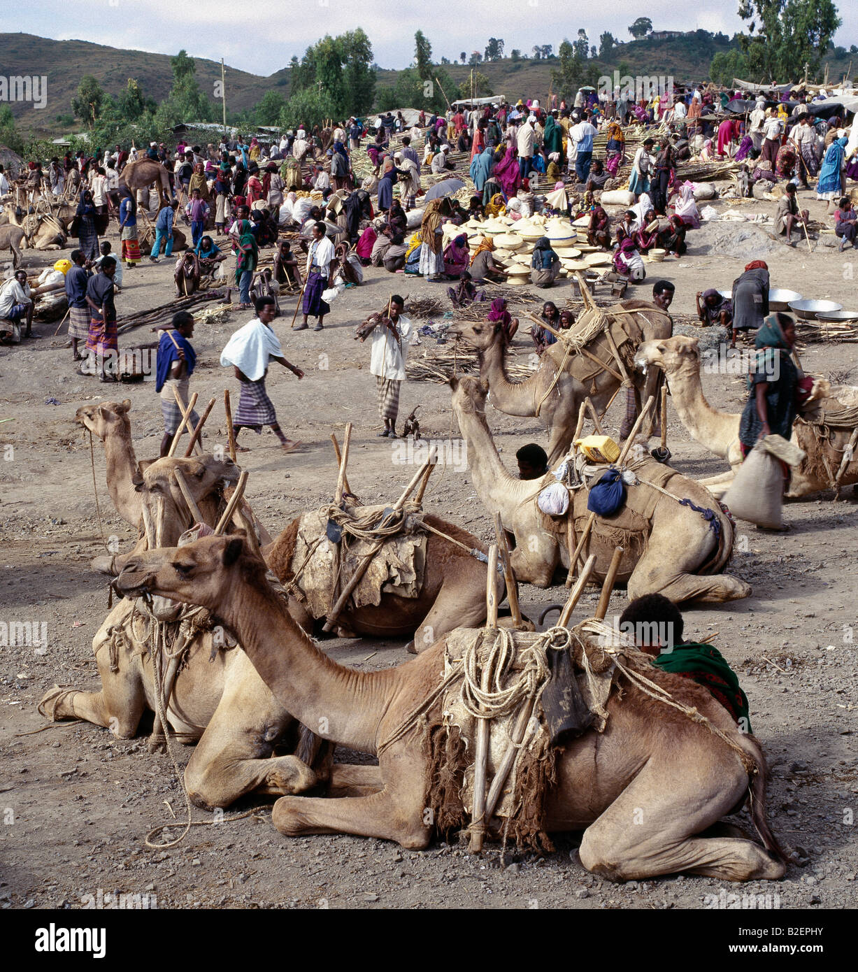 Wochenmarkt am Bati befindet sich oben auf die westlichen Böschung des Grabens Abessinier, der größte Markt in Äthiopien. Stockfoto