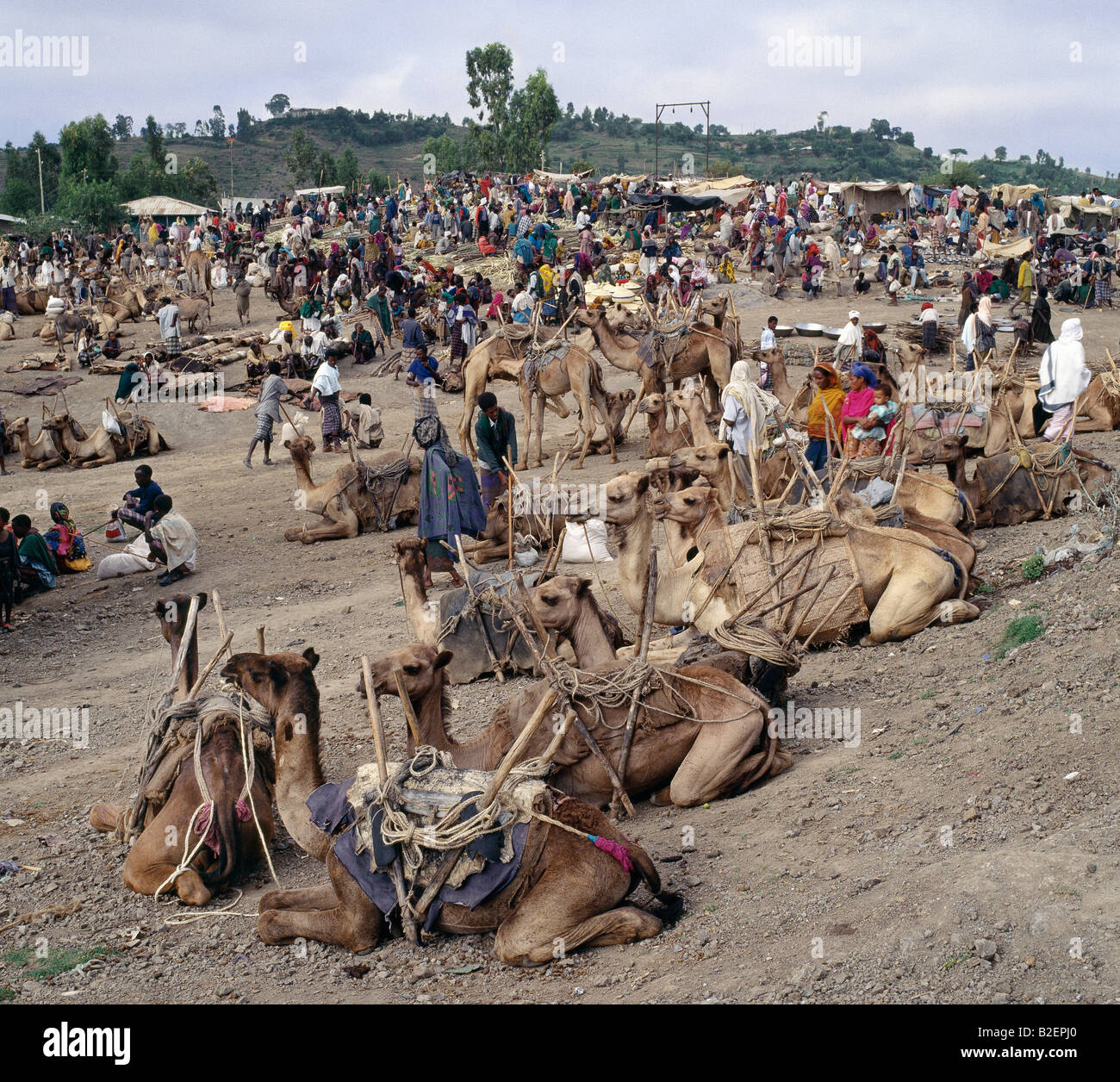 Wochenmarkt am Bati befindet sich oben auf die westlichen Böschung des Grabens Abessinier, der größte Markt in Äthiopien. Stockfoto