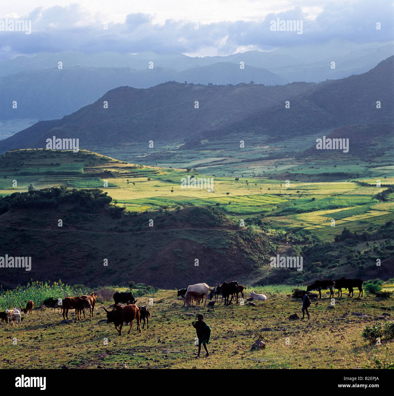 Ein Blick auf die spektakulären Bergketten zwischen Senbete und Kombolcha. Äthiopien ist ein Land der weiten Horizonte und die dramatische Landschaft. Stockfoto