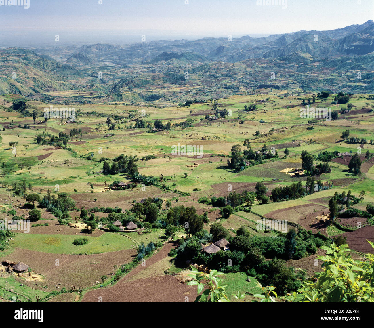 Reiche Bauernland auf einer Hochebene nördlich von Debre Sina.  Äthiopien ist ein Land der weiten Horizonte und die dramatische Landschaft. Stockfoto