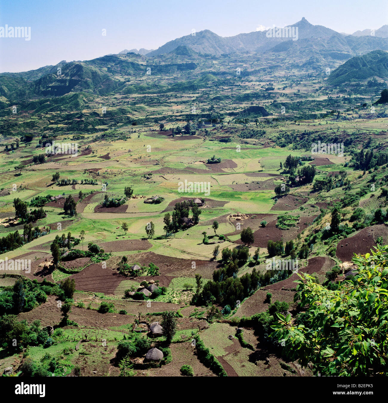 Reiche Bauernland in der Nähe der westlichen Böschung des Grabens Abessinier, nördlich von Debre Sina. Stockfoto