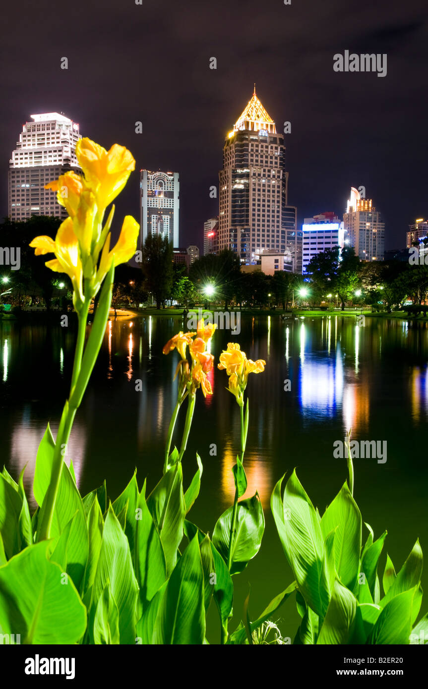 Himmel-Scapers in der Nacht vom Lumpinipark, Bangkok, Thailand Stockfoto