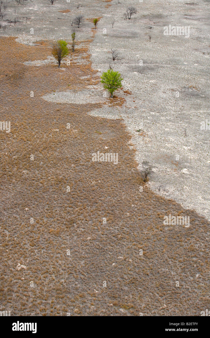 Luftaufnahme von zwei angrenzenden Gebieten in Banhine mit unterschiedlichen Grass Texturen Stockfoto