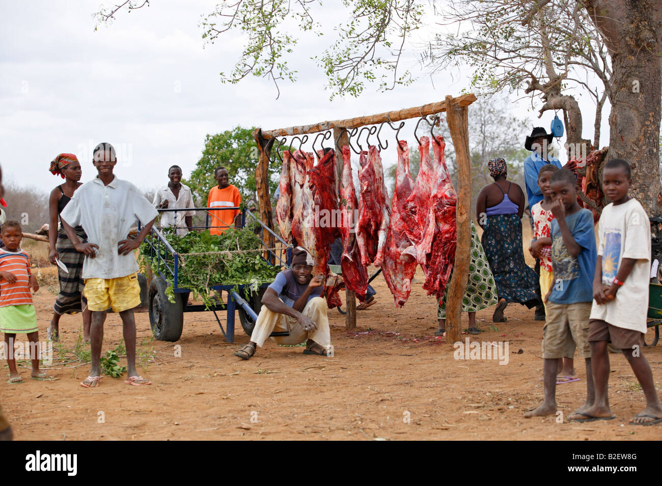 Ein Outdoor-Metzgerei am Rande der Mapai zeigt geschlachteten Kadaver an Fleischerhaken unter einem Baum hängen Stockfoto