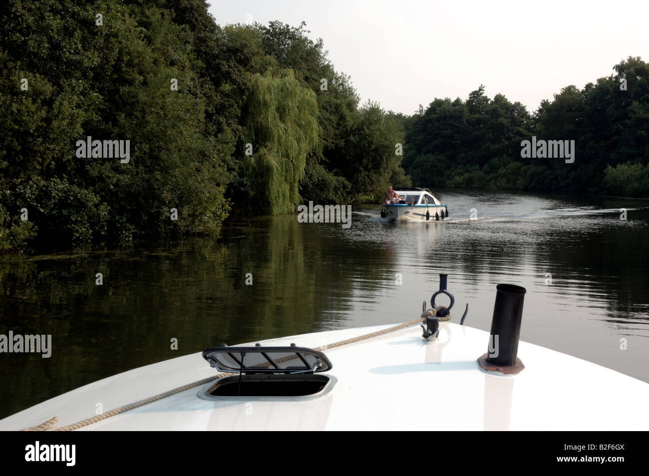 Broads Daycruiser auf dem Fluss Bure stromaufwärts von Wroxham, Broads National Park Stockfoto