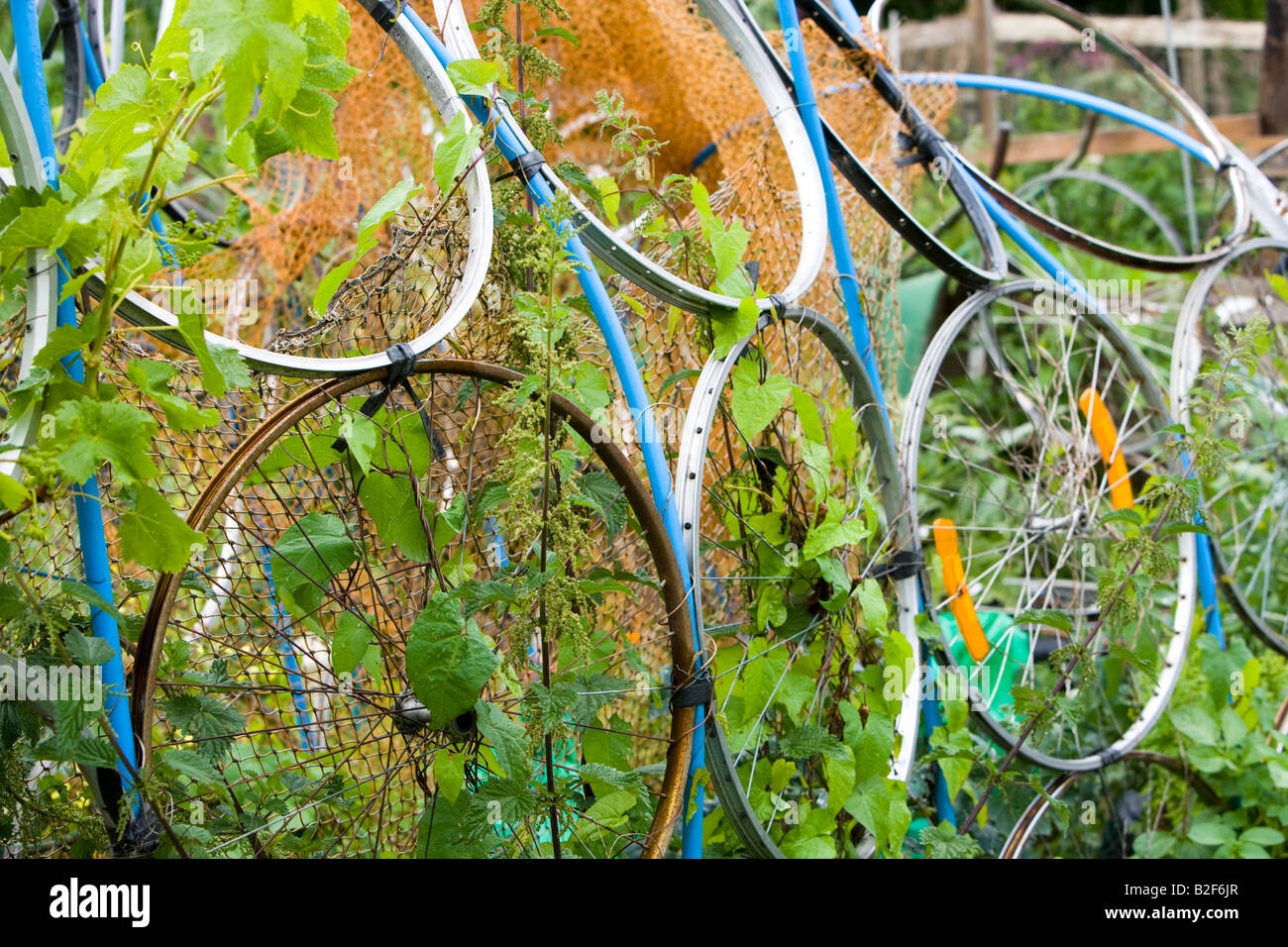 wachsende Rahmen aus alten Fahrrad-Räder. Stockfoto