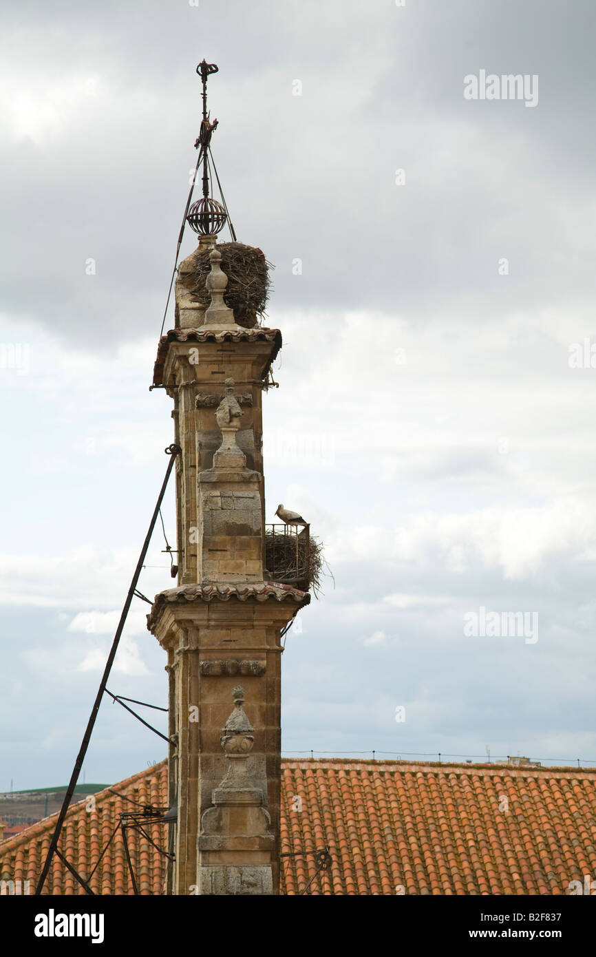 Spanien-Salamanca-Seitenansicht der Kirchturm mit Storchennester und Vögel nisten Aussicht von Dom Plattform des Rotes Ziegeldach Stockfoto
