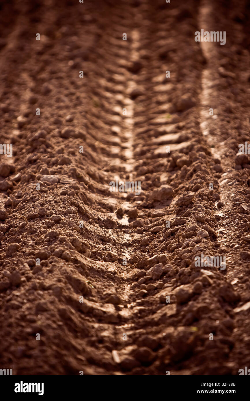 verfolgen Sie in ein gepflügtes Feld Stockfoto
