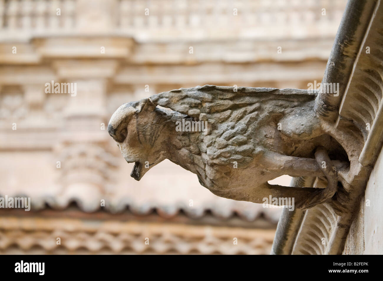 Spanien Salamanca Innenhof der Casa de Las Conchas House von Muscheln beherbergt Stadtbibliothek Architekturdetail Wasserspeier Stockfoto
