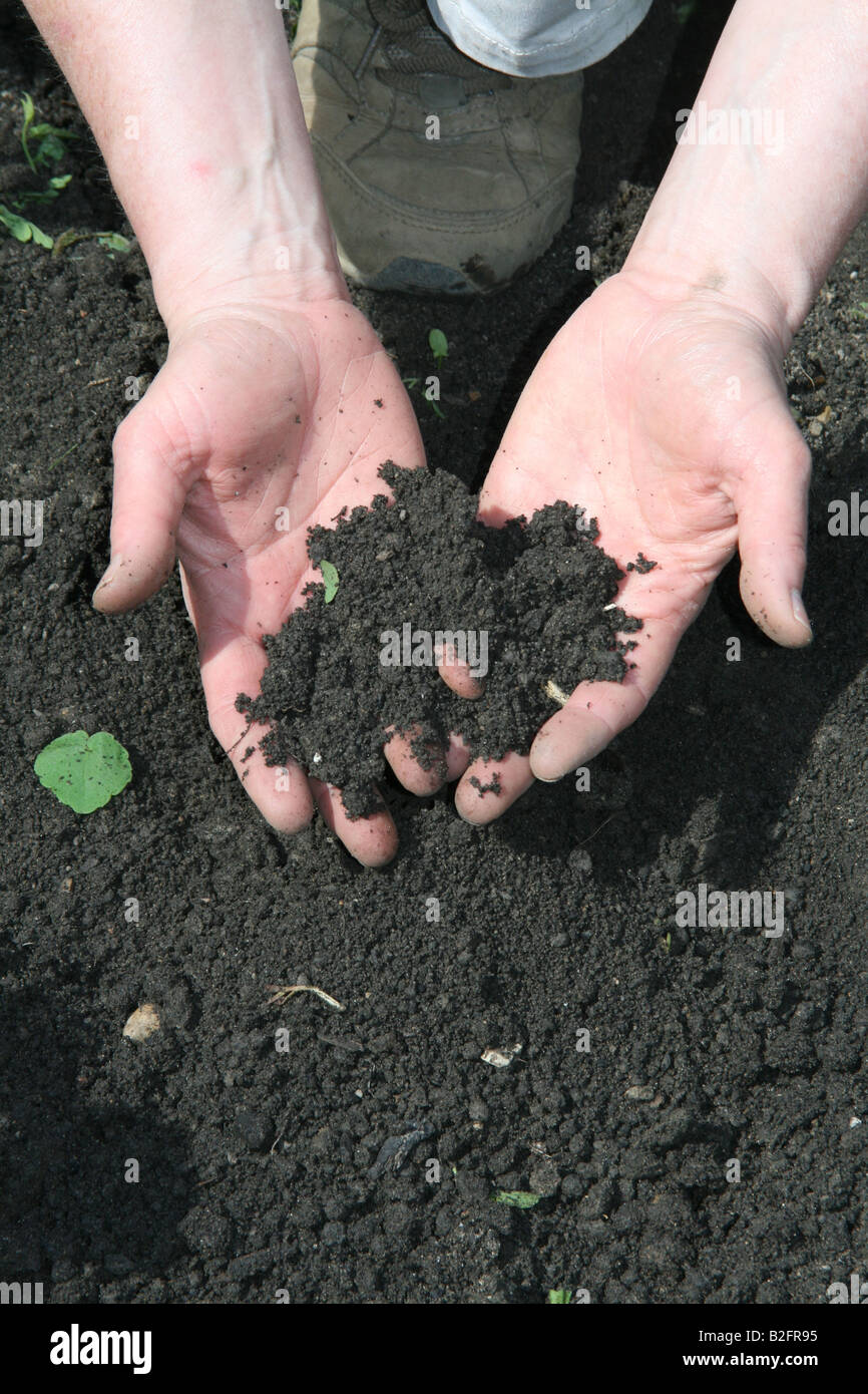 Handvoll schwarzer Bio Gartenerde USA Stockfoto