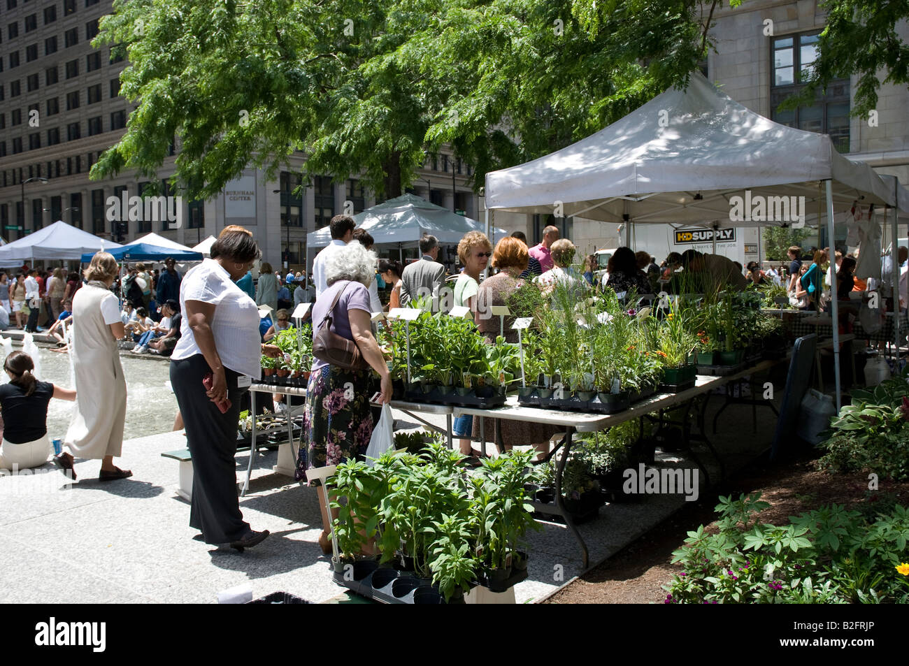 Bauernmarkt in Daley Plaza in der Innenstadt von Chicago, Illinois Stockfoto