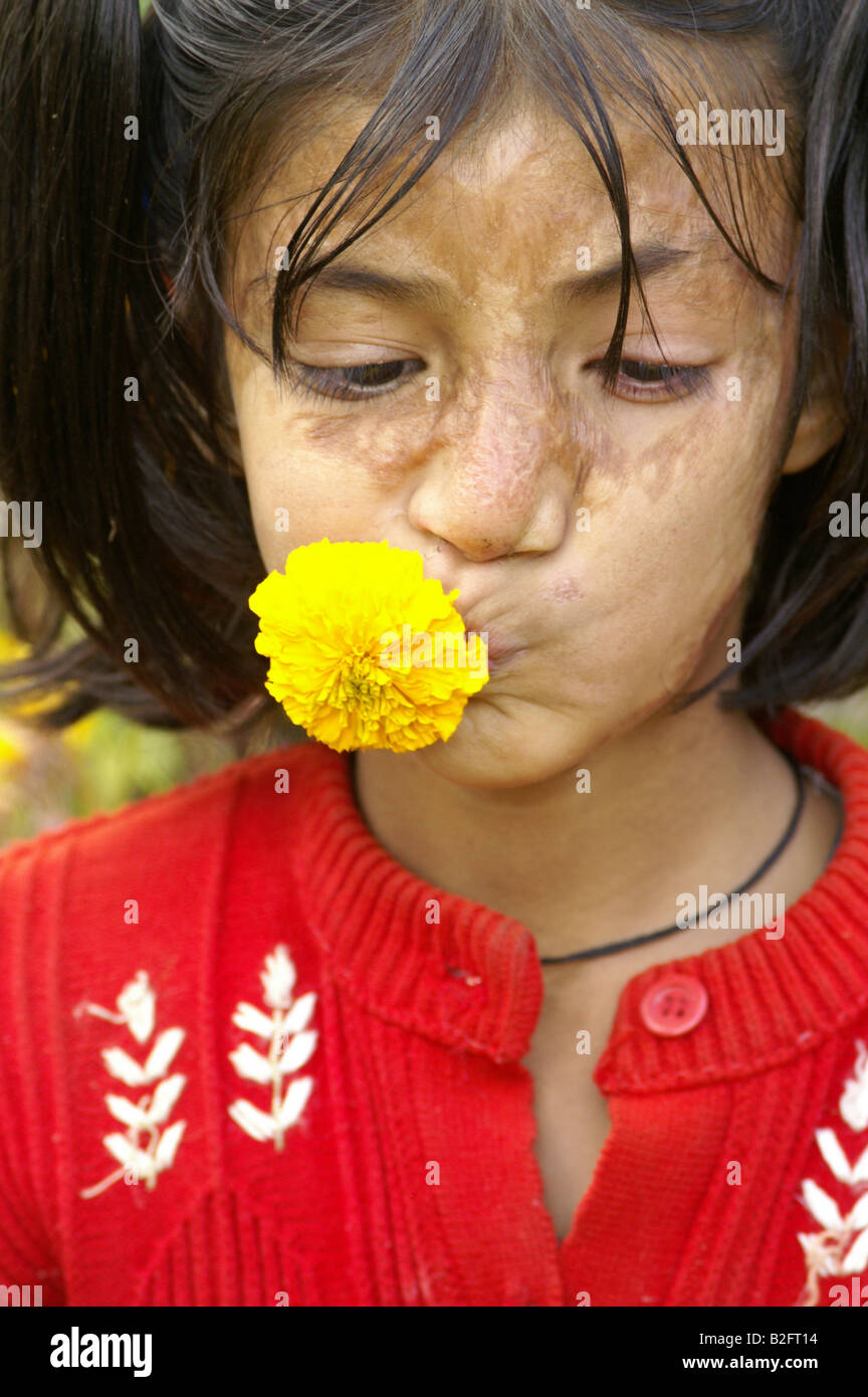 Funy Stockfotos und -bilder Kaufen - Alamy
