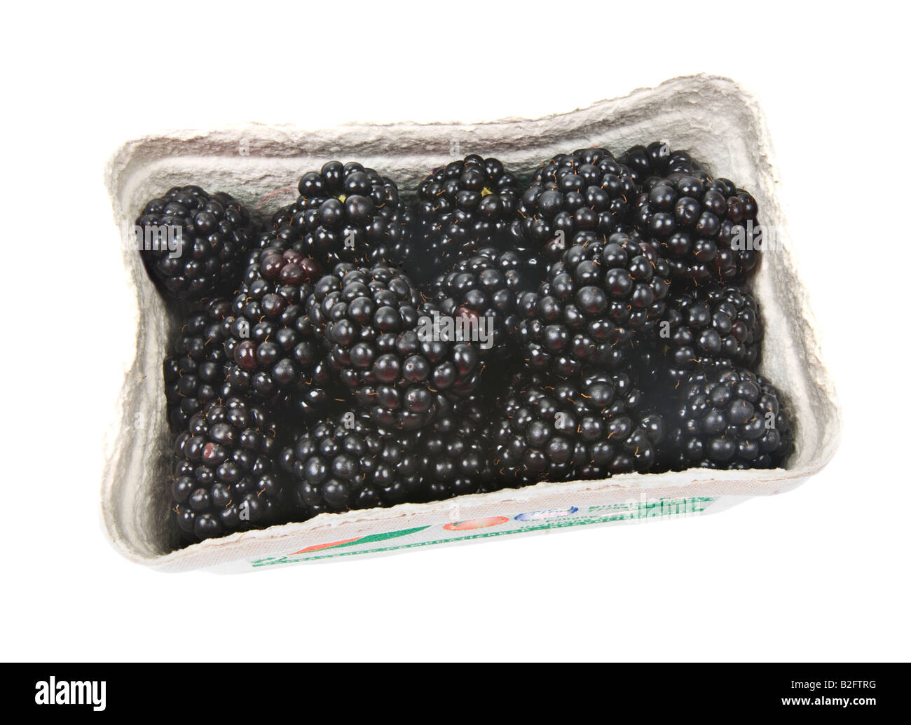 Rubas Obst Brombeere Brombeere Kratzbeere schwarze Beeren Boysenbeerensaft Marionberry Körbchen Rispe verkaufen Verkauf Kasten frisches Blatt auf w Stockfoto