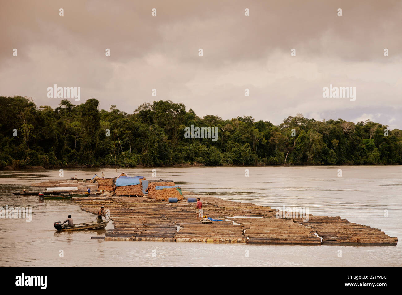 Protokollierung der Boom am Yavari Fluss Amazonas-Regenwald Stockfoto