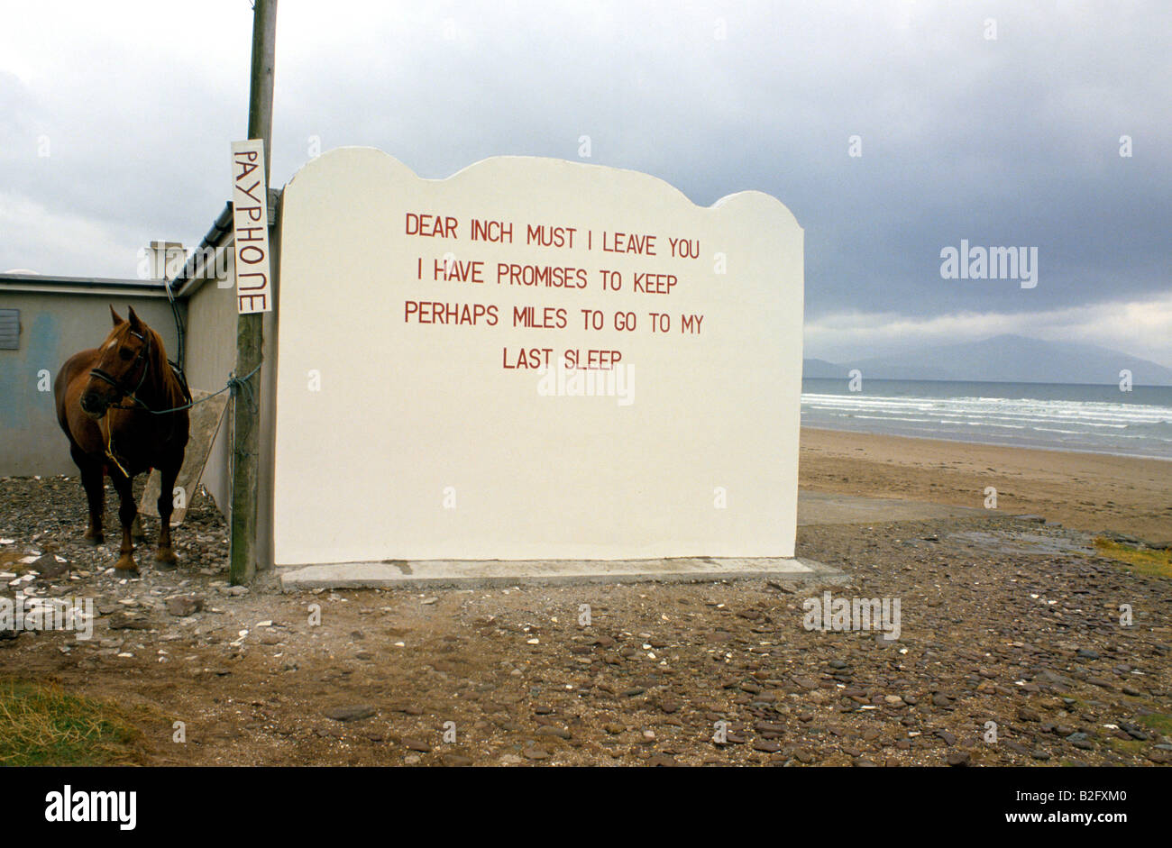 PFERD IST NEBEN EINER KLEINEN HÜTTE MIT POESIE GESCHRIEBEN AUF SEINER SEITE AM STRAND VON DINGLE HALBINSEL SOUTHEN IRLAND ANGEBUNDEN Stockfoto