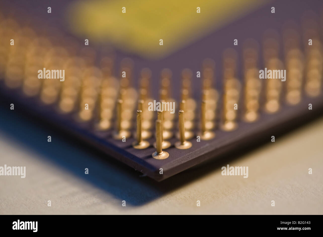 CPU, AMD Pins & Kontakte Stockfoto