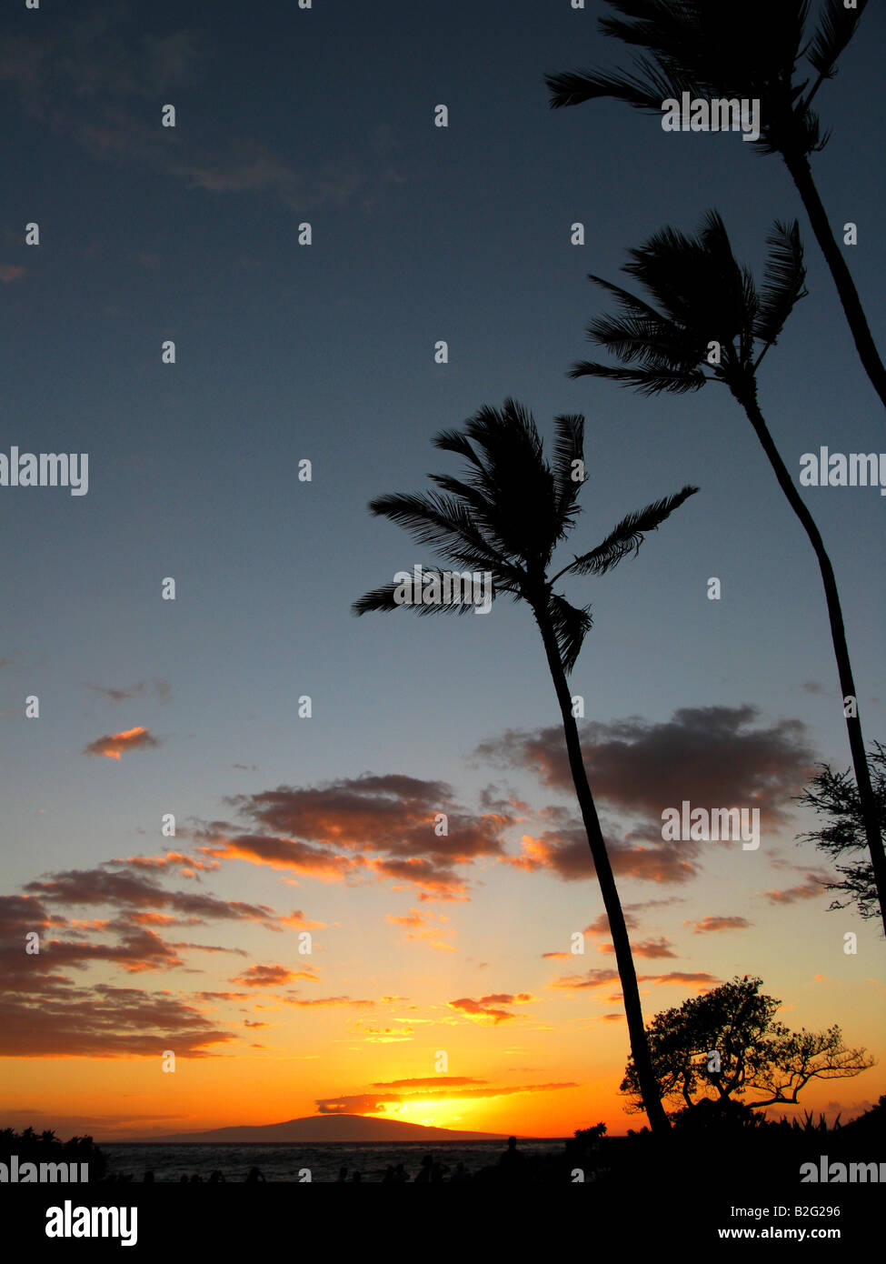 Die Sonne geht über den Strand in Wailea, Hawaii auf der Insel Maui auf 24. Juli 2008. (Foto von Kevin Bartram) Stockfoto