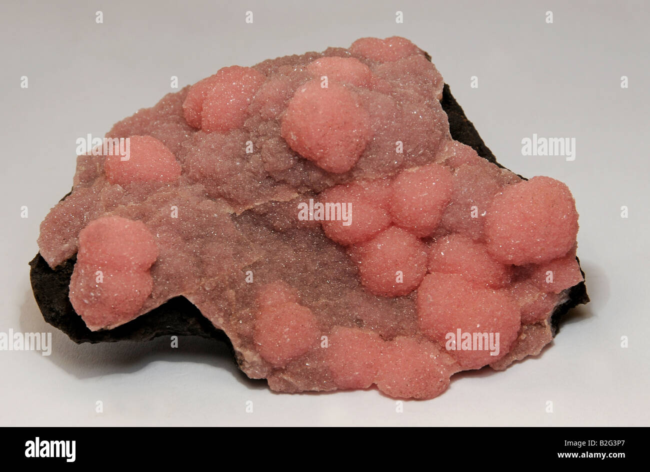 Rosa Rhodochrosite Kugeln von feinen Kristallen auf Mangan Stockfoto