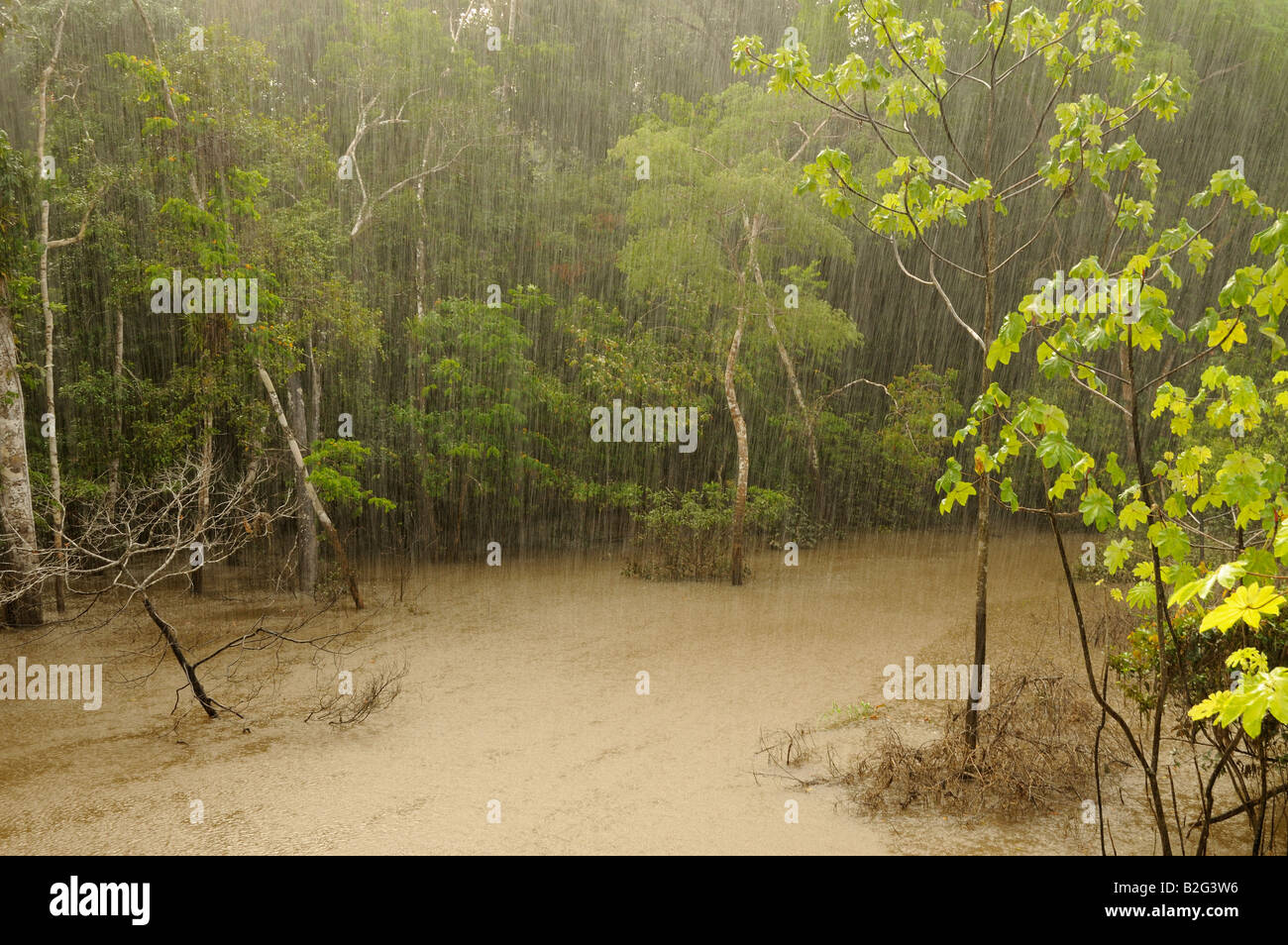 Regen Sie auf Yavari Fluss Amazonas-Regenwald Stockfoto