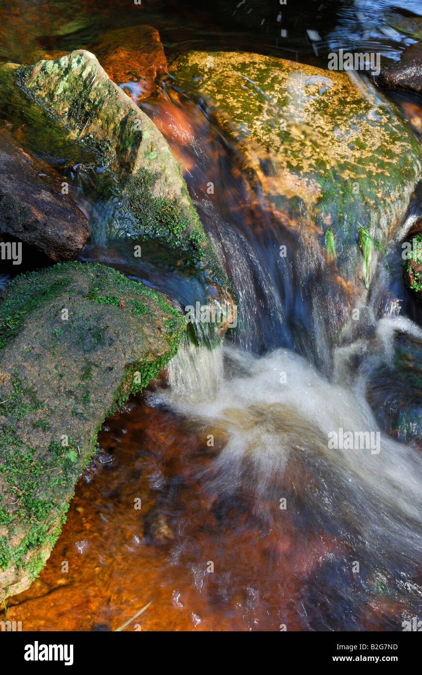 Farbenspiel eine Steinen in der Oder Im Hochharz Bei Torfhaus Nationalpark Harz Sachsen Anhalt Deutschland Stockfoto