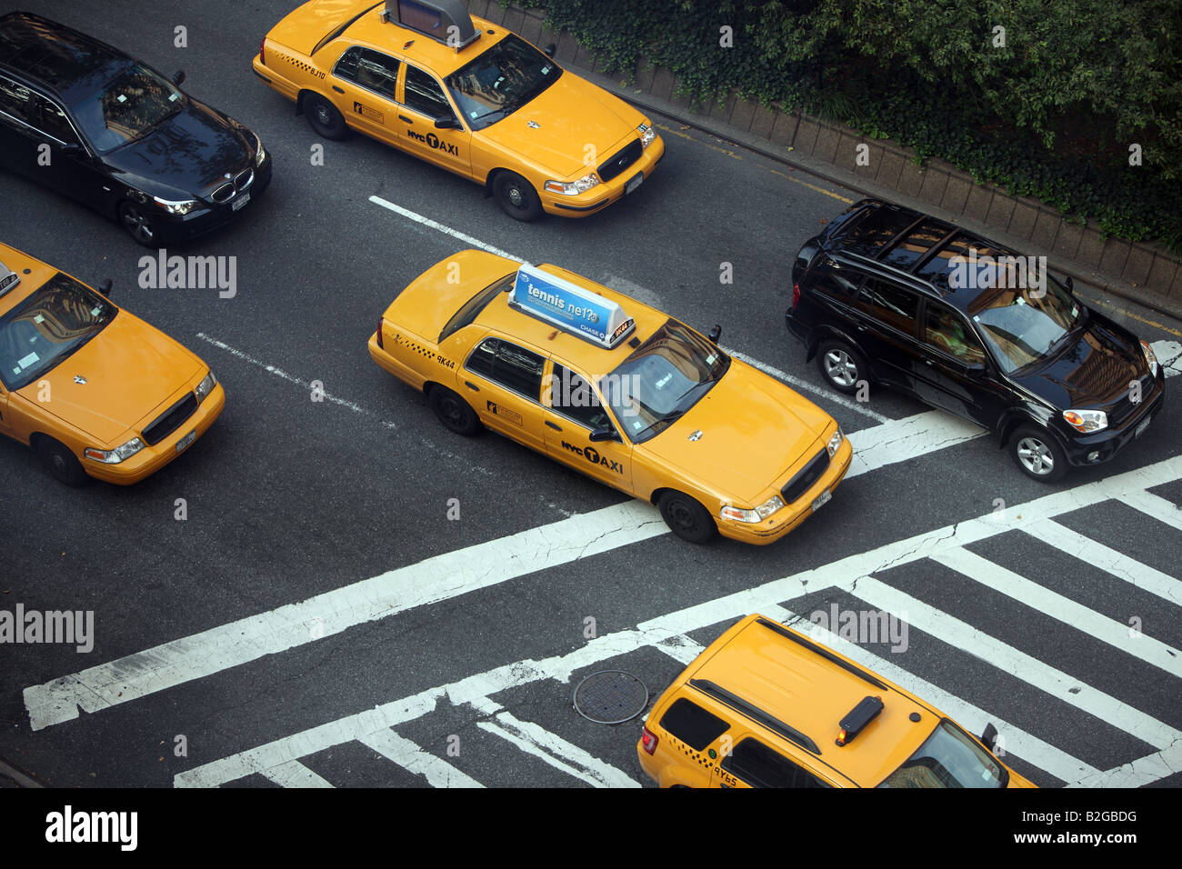 New York Taxis. Stockfoto