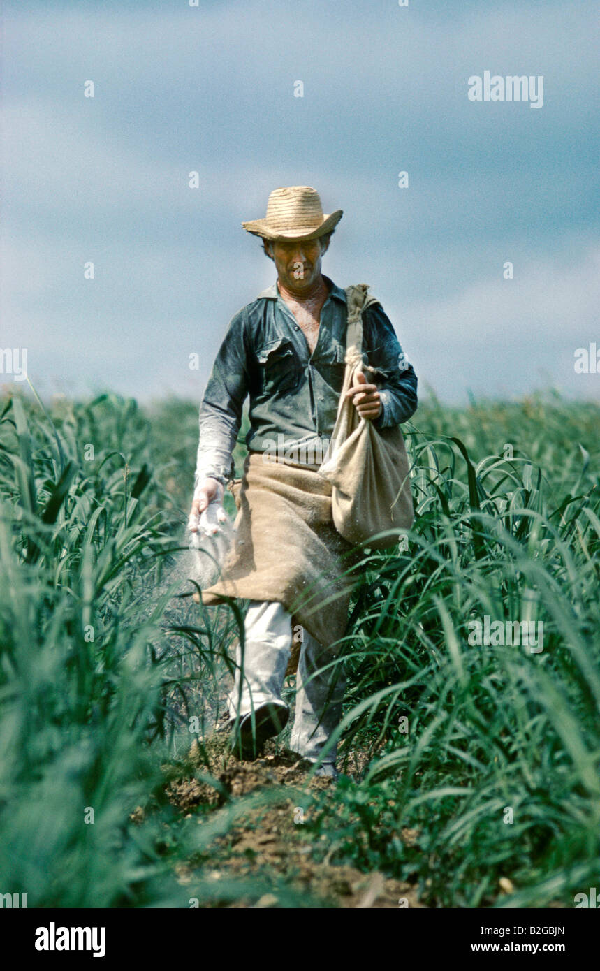 Dngen bauer -Fotos und -Bildmaterial in hoher Auflsung  Alamy