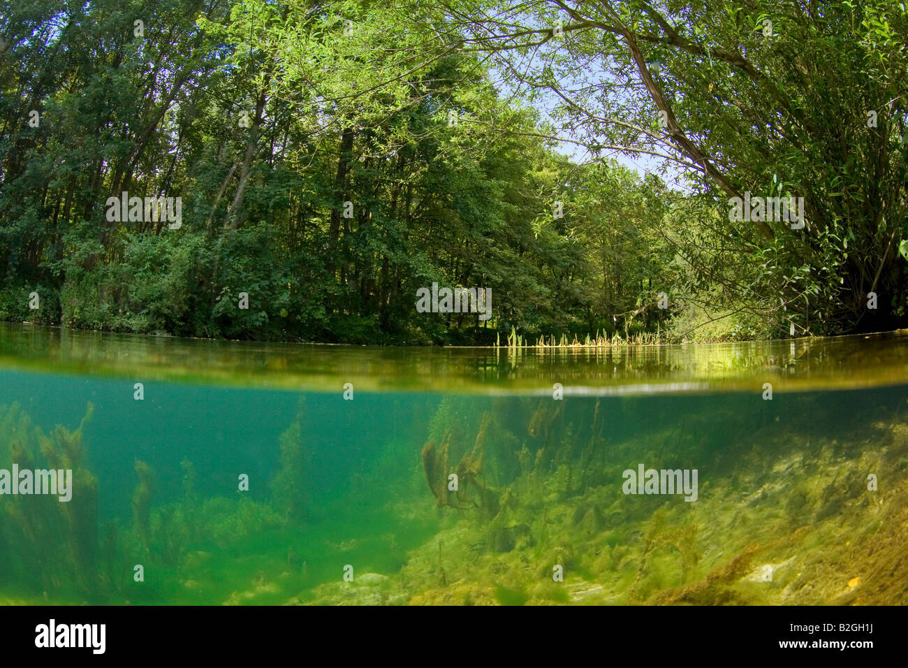 u-Boot unter Wasser See Natur schwäbische Alp Deutschland Stockfoto