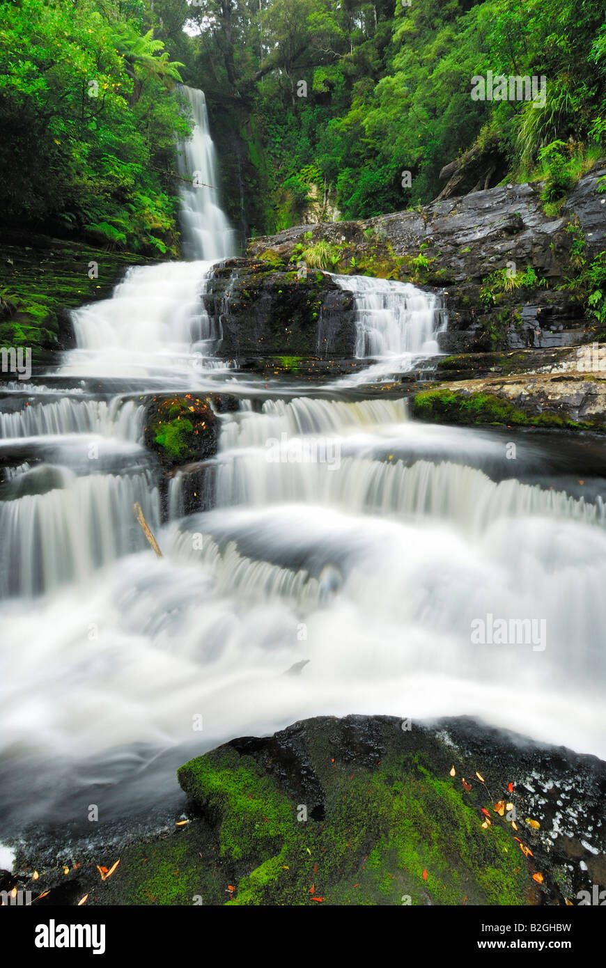 Mac Lean Fallt River Mountain Torrent Kaskade Wald Dschungel Sudinsel Neuseeland Stockfotografie Alamy