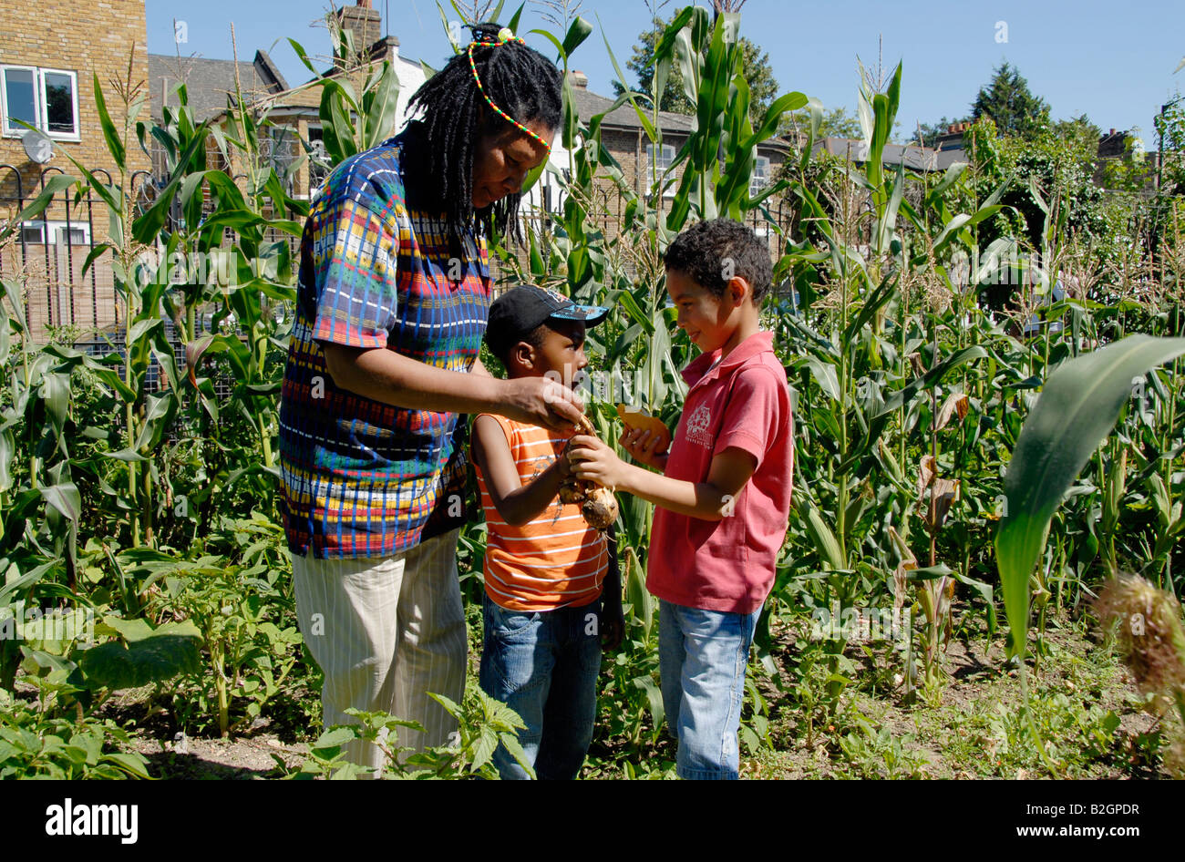 Multikulturelle Zuteilung in Peckham South London wächst organisch produzieren. Stockfoto