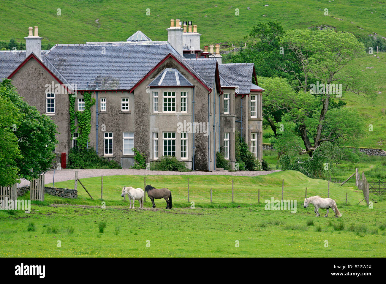 Manor Schottland Immobilien mit Pferden auf der Weide Glen Etive Highlands Scotland UK Stockfoto