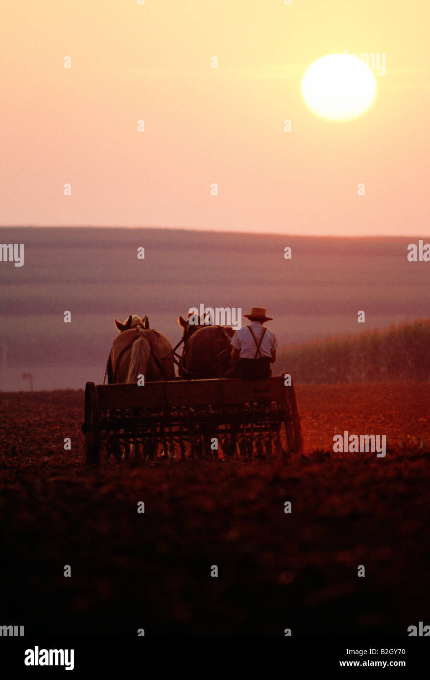 Amische Bauern bei der Feldarbeit mit einem Pferd gezeichneten Wagen Stockfoto