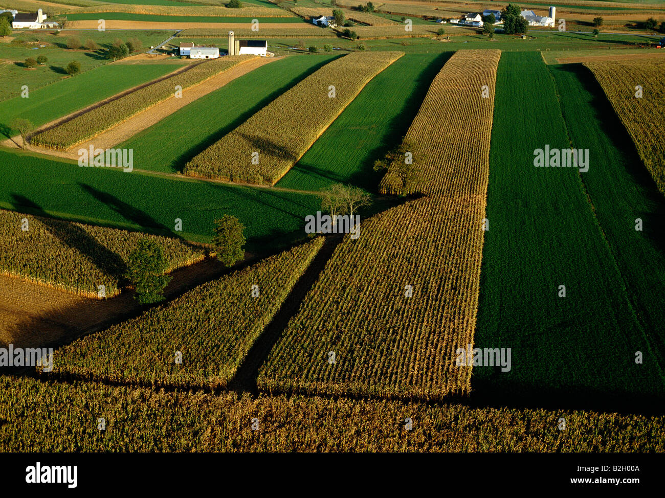 Luftaufnahme des ländlichen Pennsylvania Dutch Country, äußerst fruchtbaren Ackerland Besitz The Plain People, Amish, Lancaster Stockfoto