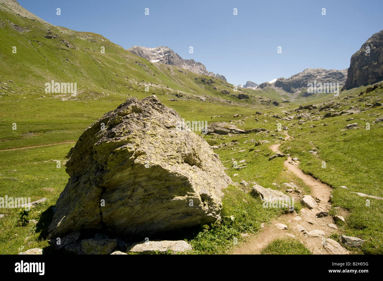 Felsbrocken in einem Hochtal am Plan De La Plagne Vanoise Savoie Frankreich Stockfoto