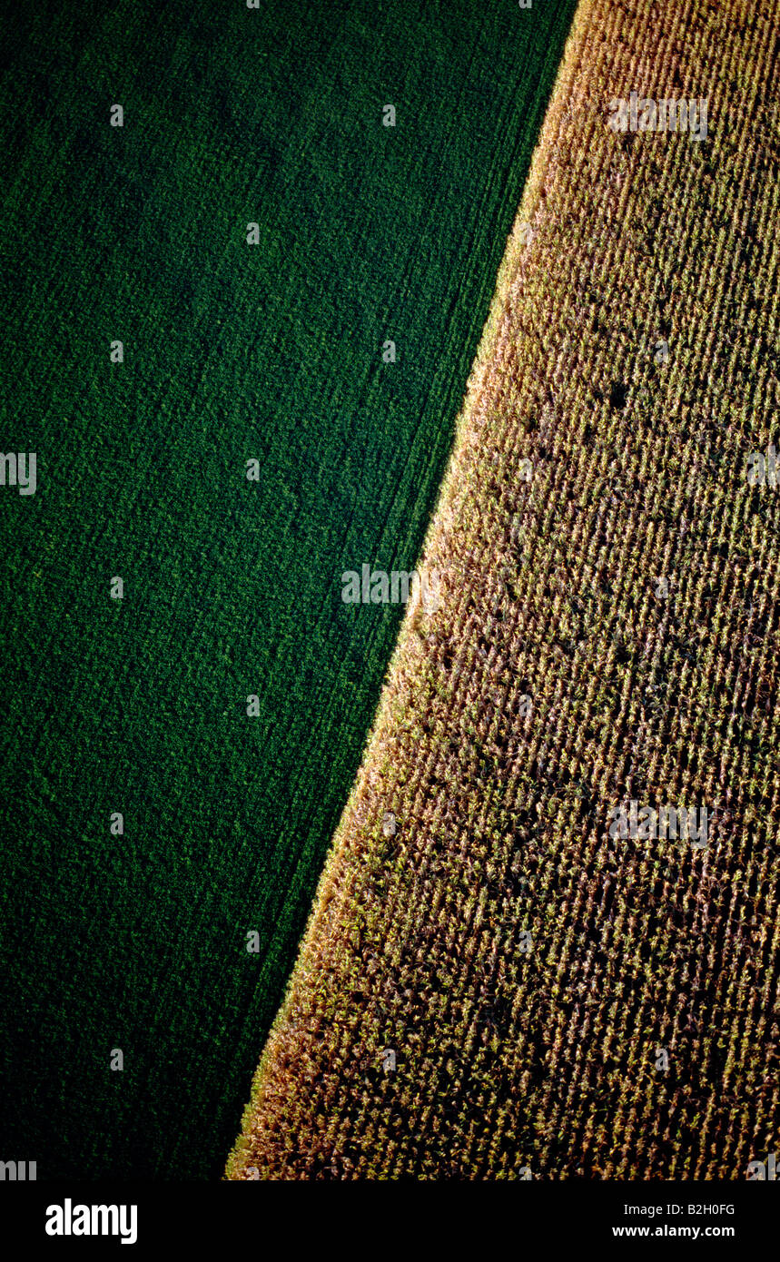 Luftaufnahme des ländlichen Pennsylvania Dutch Country, äußerst fruchtbaren Ackerland Besitz The Plain People oder Amish Stockfoto