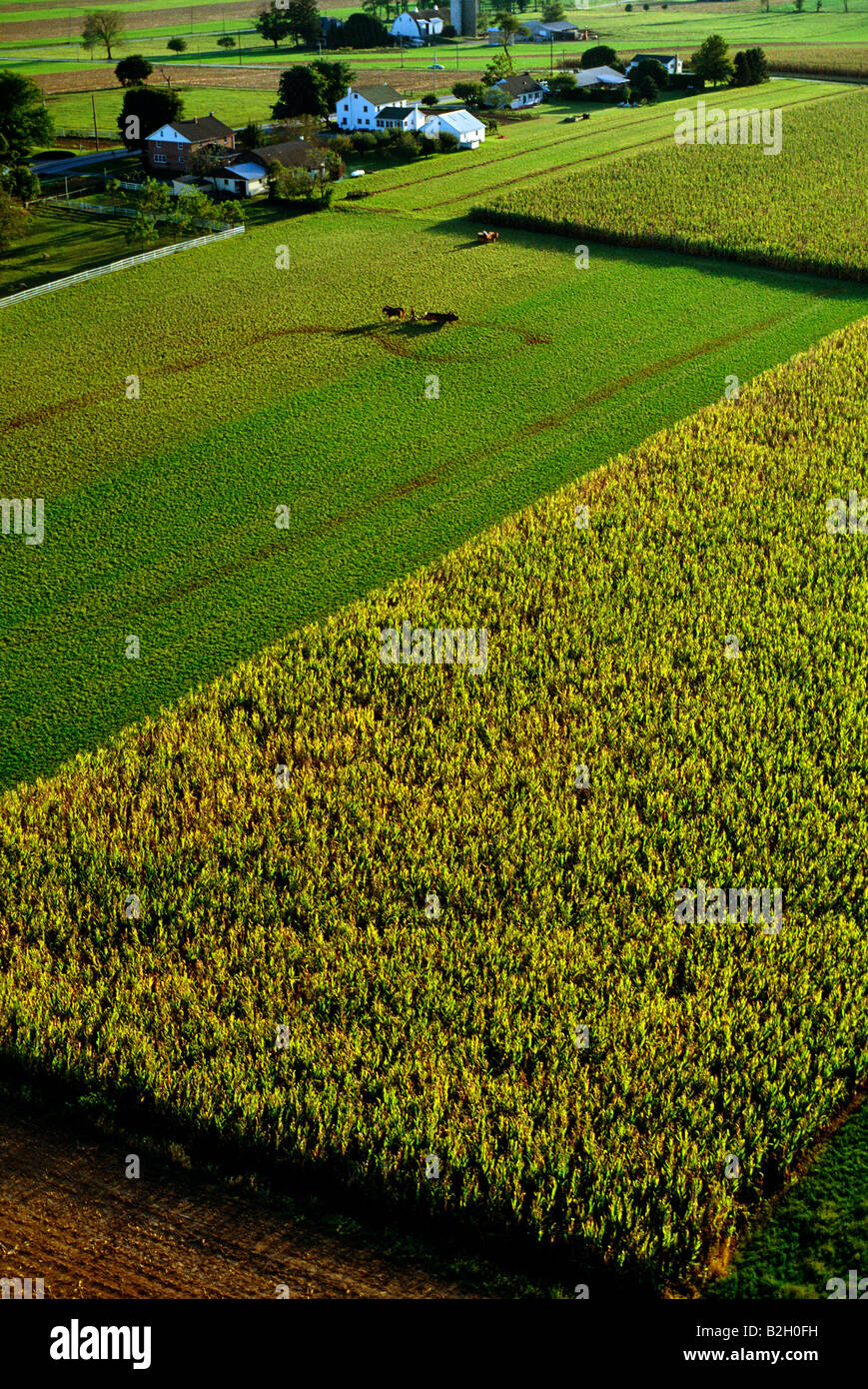 Luftaufnahme des ländlichen Pennsylvania Dutch Country, äußerst fruchtbaren Ackerland Besitz The Plain People oder Amish Stockfoto