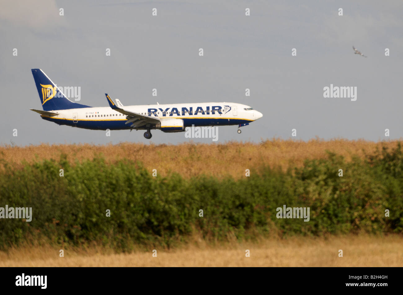 Ryanair Boeing 737 Stansted Dunst Hitzeeinwirkung erscheinen auf einem hügeligen Weizenfeld landen Stockfoto