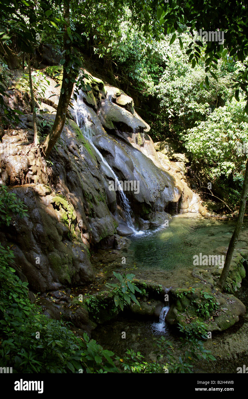 Dschungel-Stream und Pool im archäologische Stätte Palenque, Bundesstaat Chiapas, Mexico Stockfoto