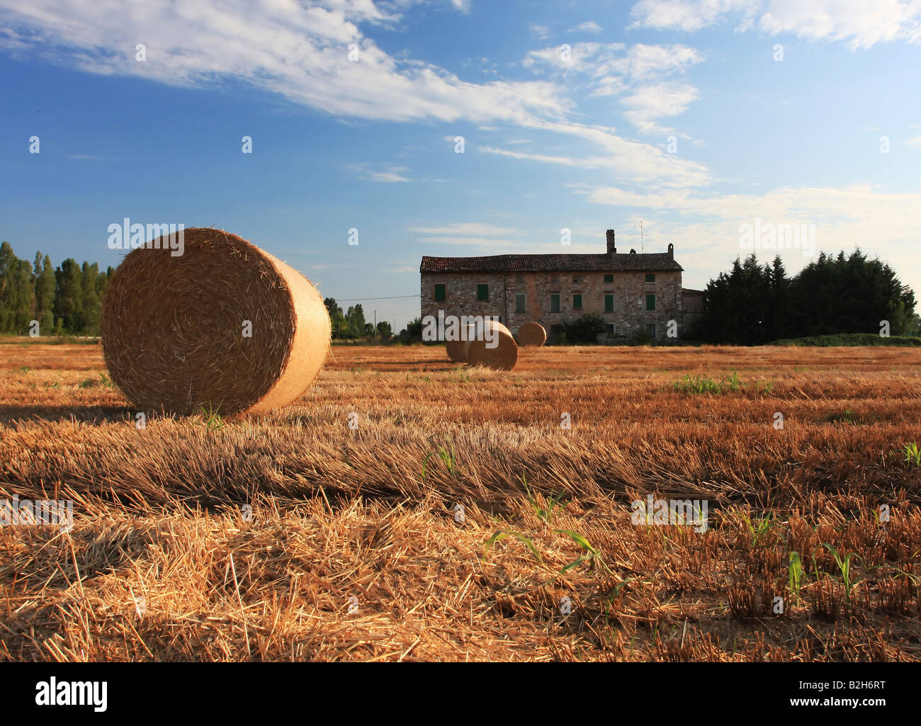 Eine Nahaufnahme von einem Heuballen auf einem Maisfeld in Europa gedreht im warmen Nachmittag Sonne Bauernhaus in den Hintergrund sehr warme Atmosphäre Stockfoto