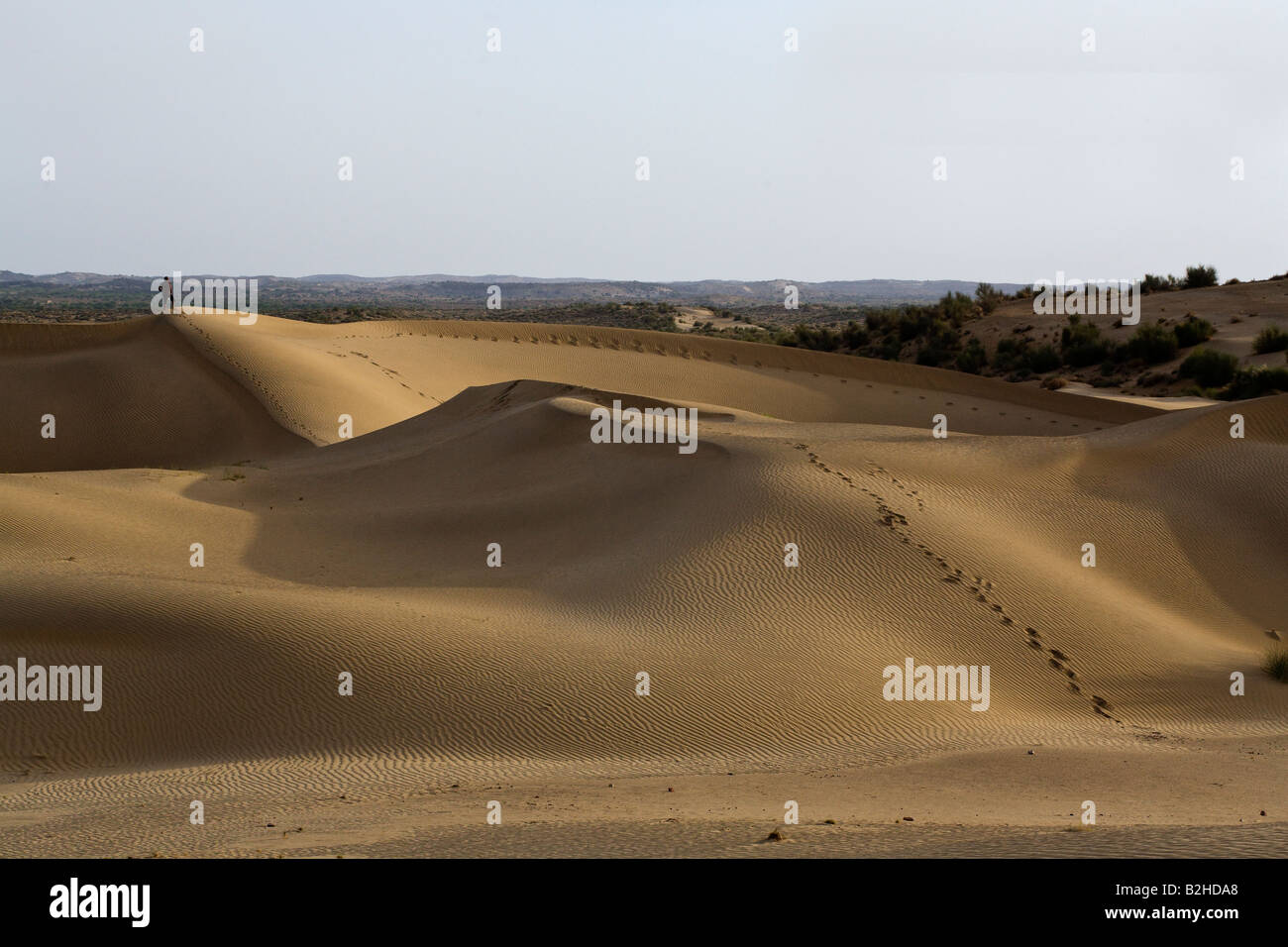 Einsamkeit finden Sie in den Sanddünen der Wüste THAR nahe JAISALMER RAJASTHAN Indien Herr Stockfoto