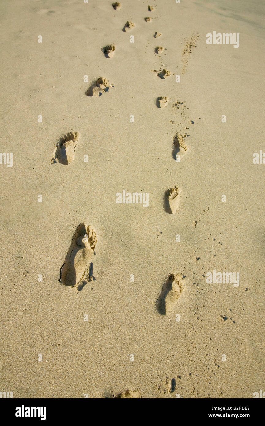Spuren der Erwachsene und Kinder im sand Stockfoto