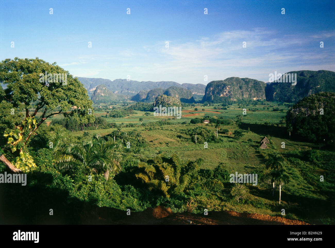 Geographie / Reisen, Kuba, Vinales, tropische Landschaft, Zentral-Amerika, Landschaften, Tropen, UNESCO, Weltnaturerbe Stockfoto