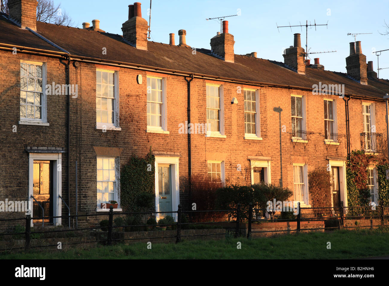 Brunswick-Gärten, Reihenhäuser mit Blick auf gemeinsame Cambridge Mittsommer Stockfoto