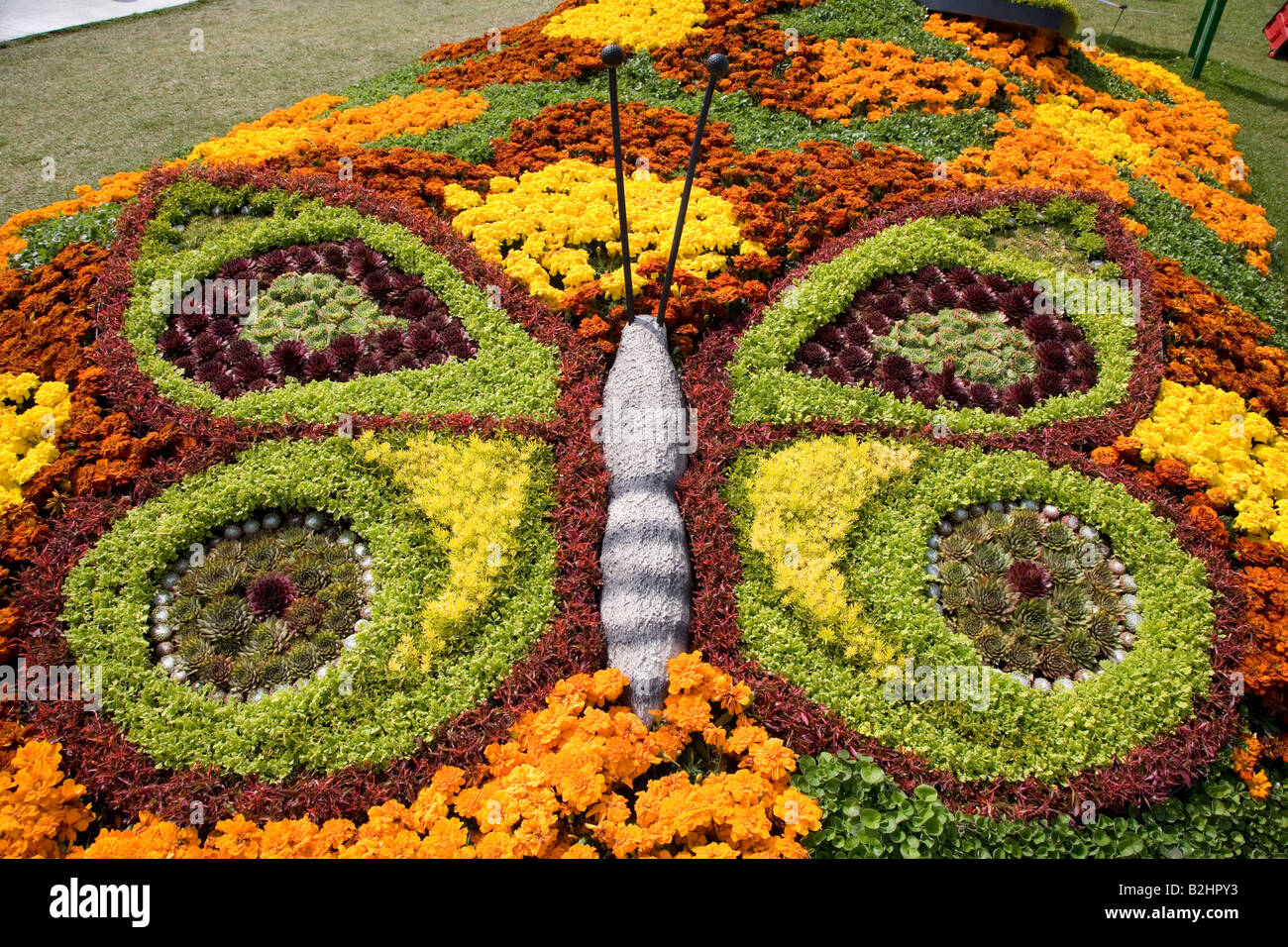 RHS Flower Show an Tatton Park 2008 - Blume Schmetterling Stockfoto
