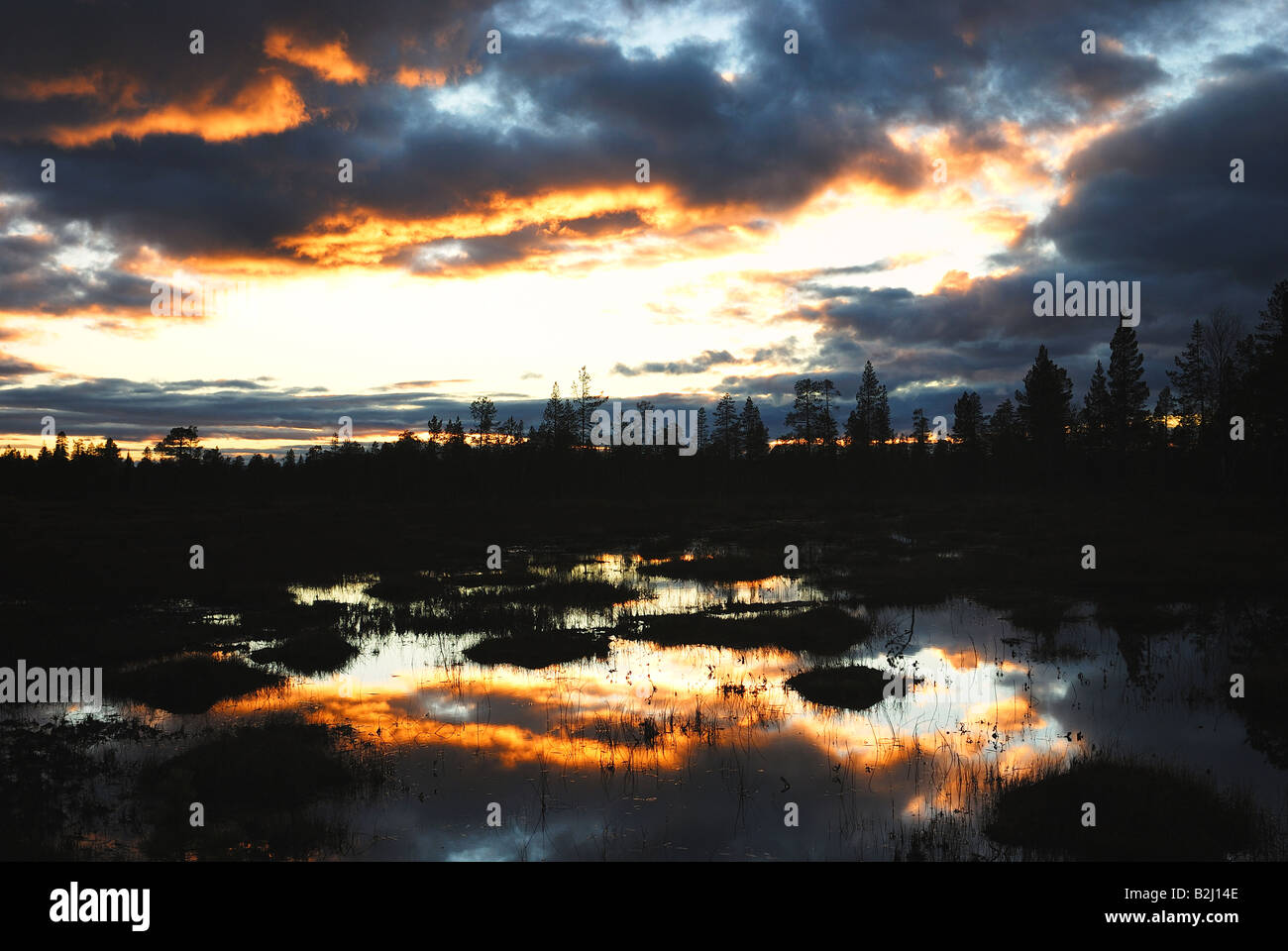 Sonnenuntergang Marschland bog Gaellivare Norrbotten Lappland Schweden Stockfoto